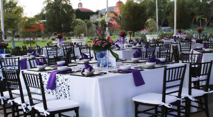 Renta de sillas tiffany, renta de sillas y mesas