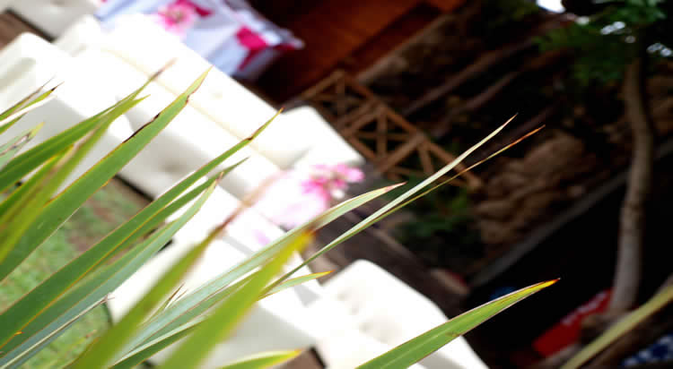 coordinacion de eventos